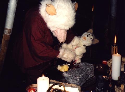 Nikodemus in seinem Element.jpg