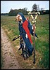 drak3_07.jpg