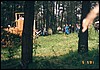 drak3_13.jpg