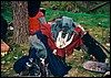 drak3_14.jpg