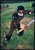 drak3_25.jpg