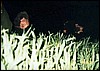 drak4_05.jpg
