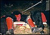 drak4_23.jpg
